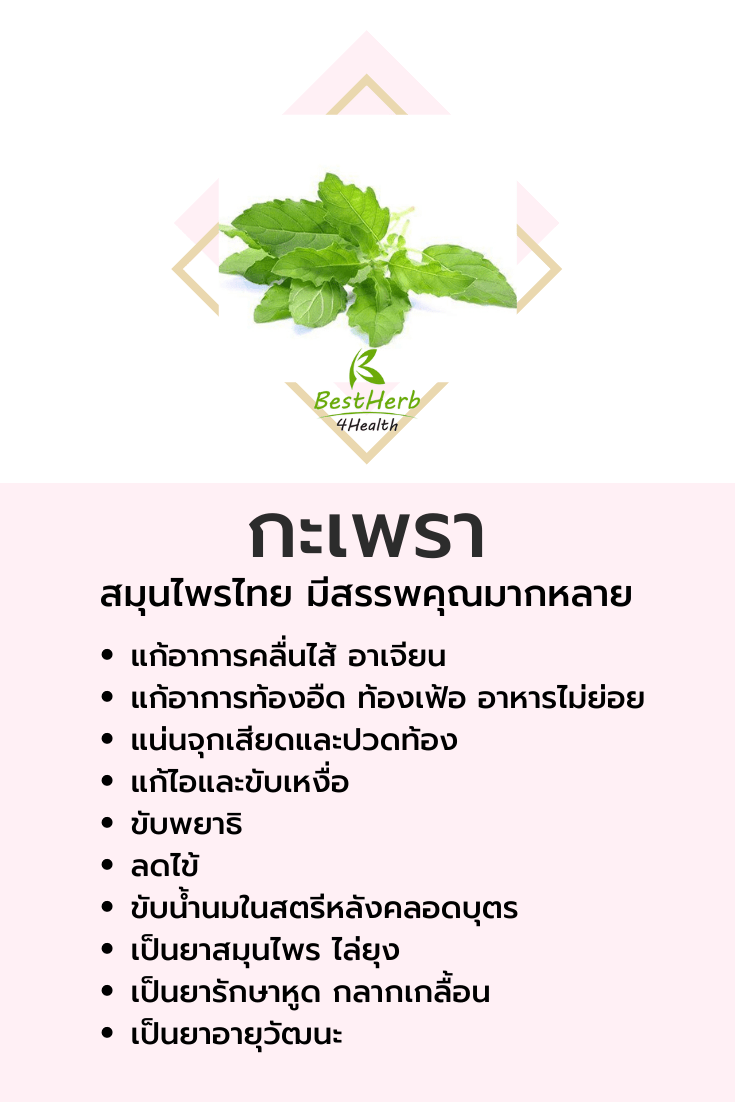 greencurmin curmamax กรีนเคอมิน เคอม่าแม็กซ์ สมุนไพรกรีนเคอมิน ขมิ้นชัน