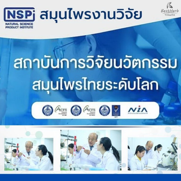 สถาบันวิจัยสมุนไพรไทย NSPI โรงงานผลิตมาตรฐานสากลCCI สมุนไพรงานวิจัย สมุนไพรระดับโลก