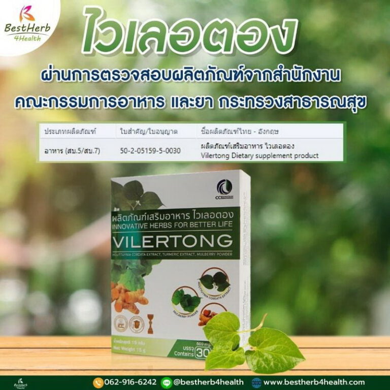 สมุนไพรพลูคาว ผักคาวตอง vilertong ไวเลอตอง ต้านไวรัส บำรุงปอด สารสกัดจากคาวตอง ขมิ้นชัน และใบหม่อน