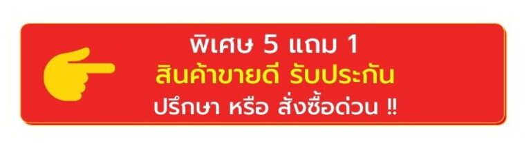 โปรโมชั่นพิเศษ 5 แถม 1