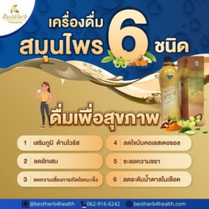 อาชิตองโกล์ด เครื่องดื่มสมุนไพรบำรุงสุขภาพแบบองค์รวม