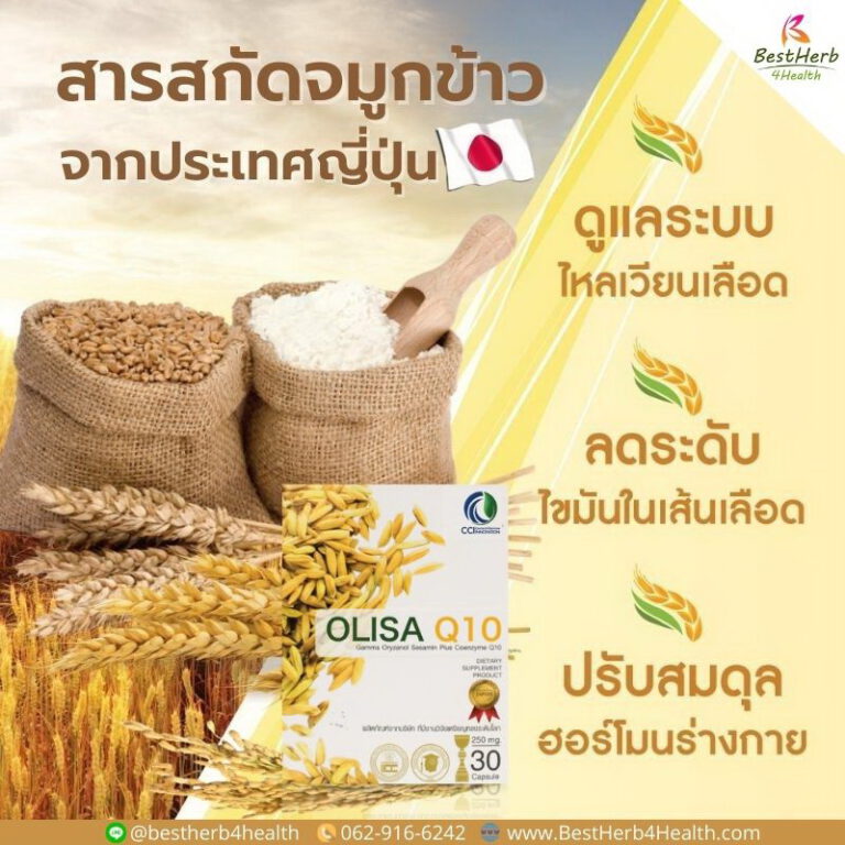 โอลิซ่าคิวเท็น สารสกัดจากจมูกข้าว ที่มีแกมม่าออริซานอล มากถึง 100 มลต่อแคปซูล ช่วยดูแลหลอดเลือด หัวใจ และสมอง