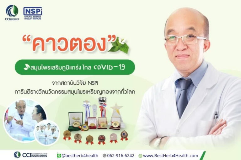 ไวเลอตอง สารสกัดคาวตองคุณภาพสูง ต้านไวรัส ต้านแบคทีเรีย ลดการอักเสบของหลอดอาหาร