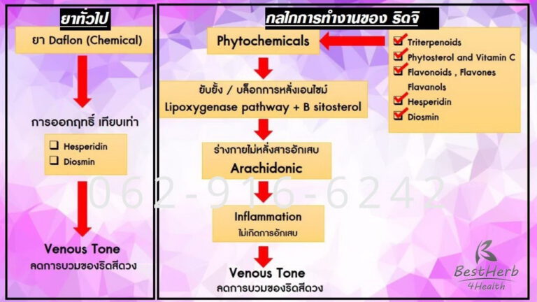 ริดจิ ดูแลริดสีดวงทวาร ถ่ายยาก มีติ่งในช่องแคบ ถ่ายมีเลือดออก