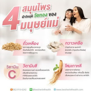 4 สมุนไพรแก้อาการวัยทอง ร้อนวูบวาบ อารมณ์แปรปรวน หงุดหงิดง่าย นอนไม่หลับ