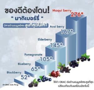 มากิเบอร์รี่ มีสารแอนโทไซยานินสูงที่สุดในโลก ช่วยลดความดันในลูกตาได้ดี