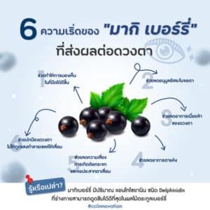 6 ความเริ่ดของมากิเบอร์รี่ที่ส่งผลต่อดวงตา