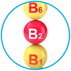 วิตามิน บี1 บี2 บี6 ช่วยในการทำงานของระบบประสาท และกล้ามเนื้อ เสริมสร้างเม็ดเลือดแดง