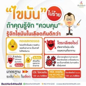 Olisa q10 โอลิซ่าคิวเท็น ลดคอเลสเตอรอล ไตรกลีเซอไรด์ ไขมันในเลือด