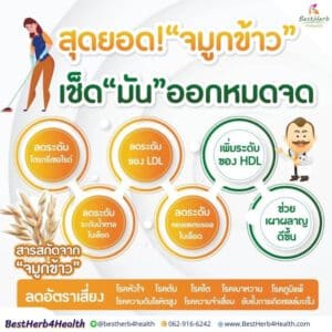 Olisa Q10 โอลิซา คิวเท็น สุดยอดจมูกข้าว ล้างไขมันในหลอดเลือดออกหมดจด