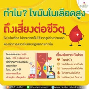 Olisa Q10 โอลิซ่าคิวเท็น ลดไขมันในเลือดสูง ไขมันตัวร้าย คอเลสเตอรอล ไตรกลีเซอไรด์ ไขมันพอกตับ ไขมันอุดตันในหลอดเลือด โรคหัวใจ โรคอัลไซเมอร์ โรคพาร์กินสัน โรคความดันโลหิต อัมพฤกษ์ อัมพาต
