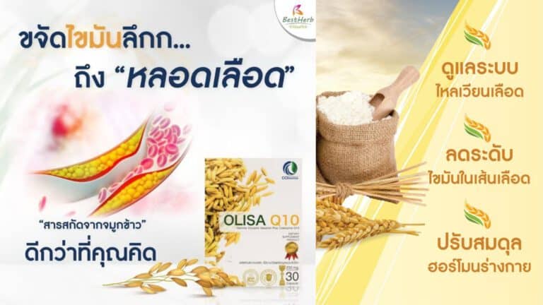 รีวิวโอลิซ่าคิวเท็น